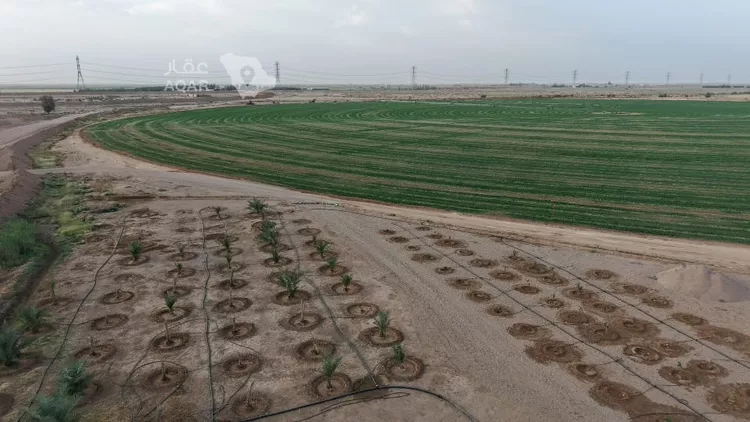 Farm for Sale in AlShinana Al Aziziyah 8