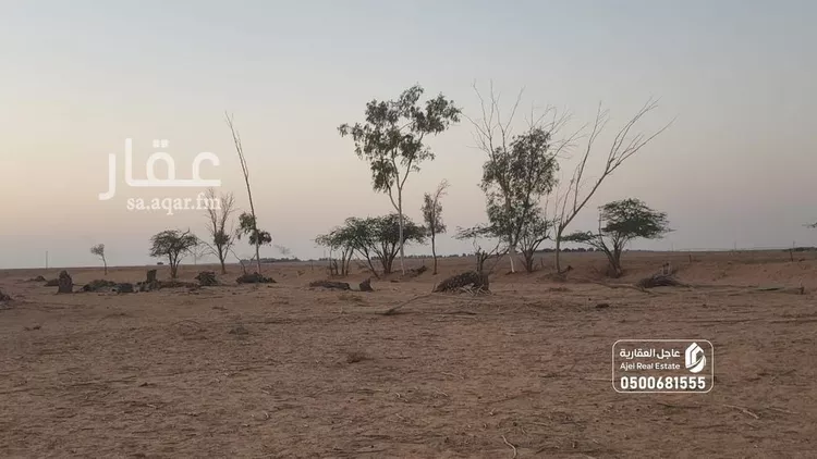 مزرعة للبيع في شارع شارع , حي مزارع البكيريه الشماليه, مدينة مزارع البكيريه الشماليه, منطقة القصيم صورة 2
