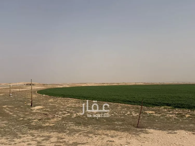 مزرعة للبيع في شارع شارع, حي مزارع الشيط الشرقيه, مدينة مزارع الشيط الشرقيه, المنطقة الشرقية صورة 5