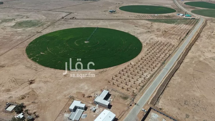 Farm for Sale in Al Ghat Ar Rabie 18