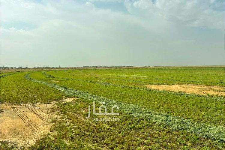 مزرعة للبيع في شارع شارع, حي الفويلق رقم(1), مدينة الفويلق رقم 1, منطقة حائل صورة 3