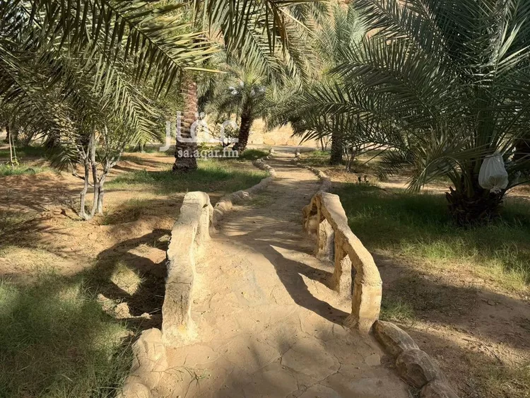 مزرعة للبيع في شارع, حي مزارع الخنقه, مدينة مزارع الخنقه, منطقة الرياض 20