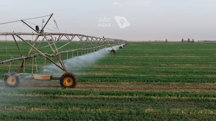 Farm for Sale in AlShinana Al Aziziyah 7