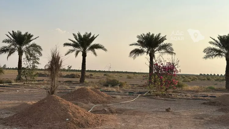 Farm for Sale in Buraydah Ar Rihab 11