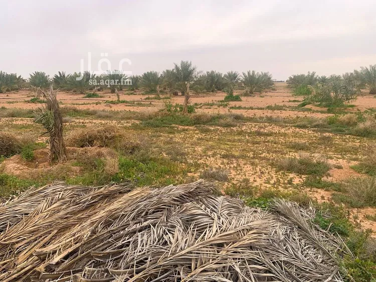 أرض للبيع في شارع ترابي, حي الودى, مدينة ودي الحزم الودي, منطقة حائل صورة 4