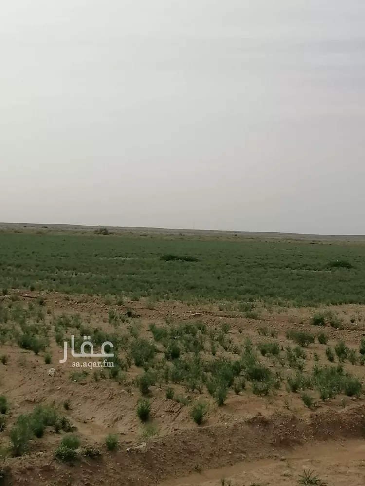 مزرعة للبيع في شارع ترابي, حي النومانيه, مدينة النومانيه, منطقة القصيم صورة 4