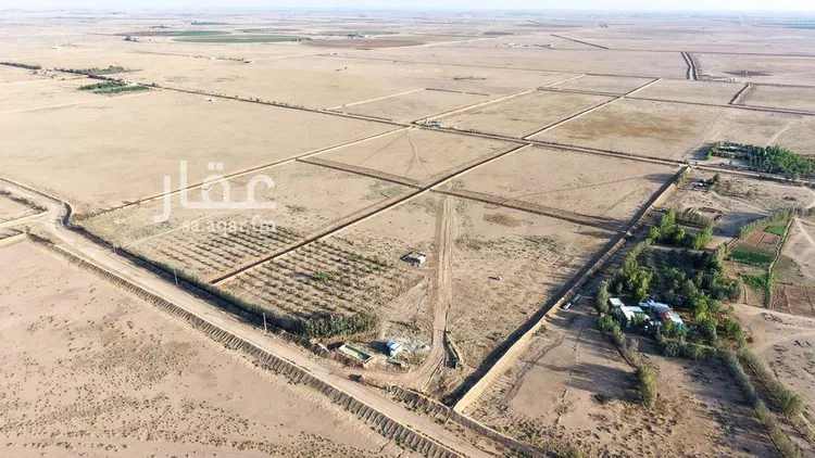 أرض للبيع في حي الودى, مدينة ودي الحزم الودي, منطقة حائل صورة 4