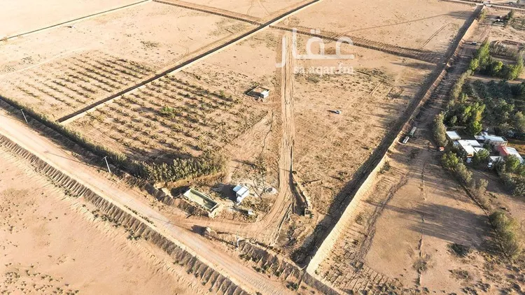 أرض للبيع في حي الودى, مدينة ودي الحزم   الودي, منطقة حائل صورة 5