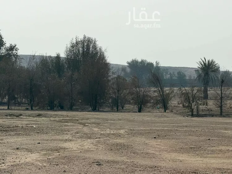 مزرعة للبيع في شارع شارع, مدينة الأجفر, منطقة حائل صورة 3