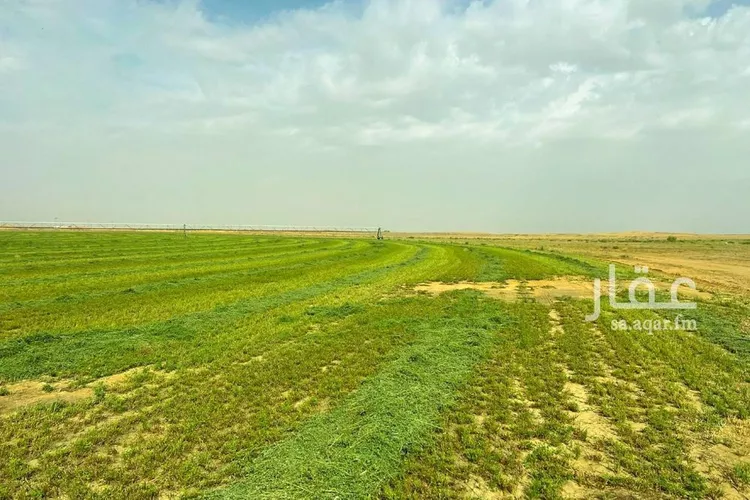 مزرعة للبيع في شارع شارع, حي الفويلق رقم(1), مدينة الفويلق رقم 1, منطقة حائل