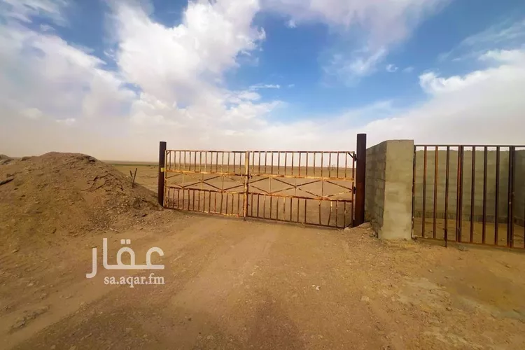 مزرعة للبيع في شارع شارع, حي الفويلق رقم(1), مدينة الفويلق رقم 1, منطقة حائل صورة 4