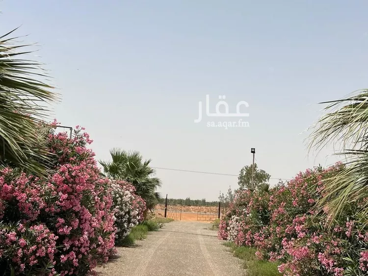 مزرعة للبيع في شارع غير مسمى, مدينة الضلفعه, منطقة القصيم 8