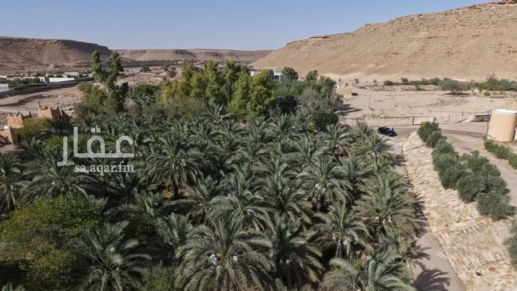 مزرعة للبيع في شارع, حي مزارع الخنقه, مدينة مزارع الخنقه, منطقة الرياض 13