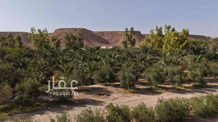 مزرعة للبيع في شارع, حي مزارع الخنقه, مدينة مزارع الخنقه, منطقة الرياض 12