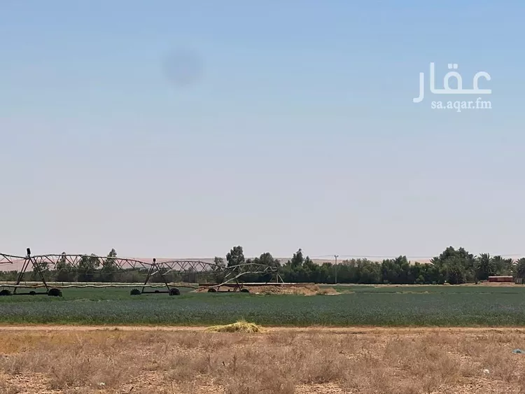 مزرعة للبيع في شارع, حي مزارع الحماده الجنوبيه, مدينة مزارع الحماده الجنوبيه, منطقة الرياض صورة 4