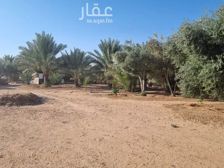 مزرعة للبيع في شارع, حي بقعاء الشرقية(سهلة الفزير), مدينة بقعاء, منطقة حائل 16