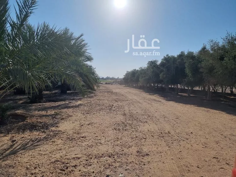 مزرعة للبيع في شارع, حي بقعاء الشرقية(سهلة الفزير), مدينة بقعاء, منطقة حائل 28
