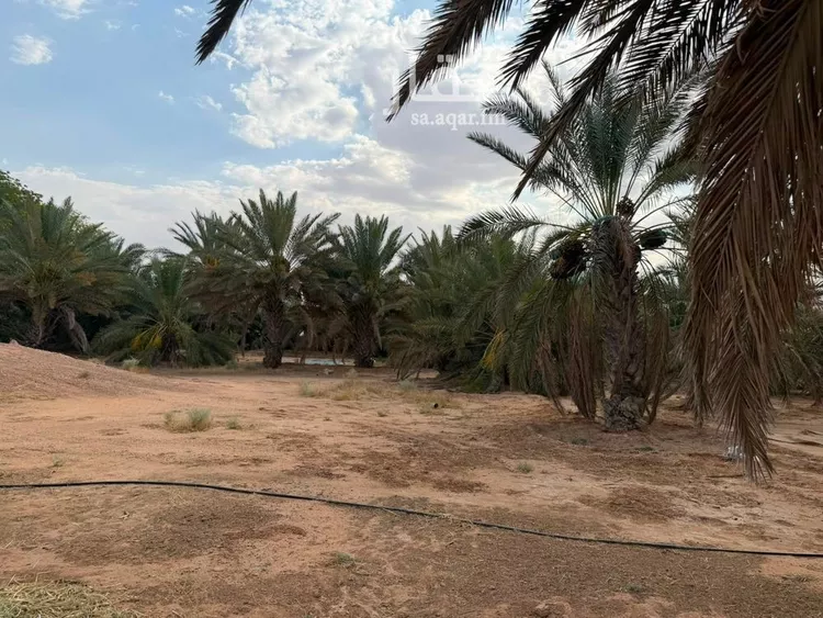 مزرعة للبيع في شارع, حي مزارع ابو غيل, مدينة مزارع ابو غيل, منطقة حائل 15