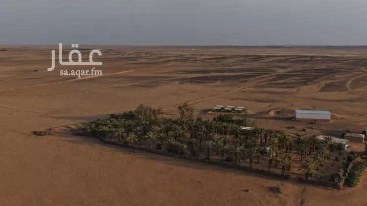 Farm for Sale in Baqaa Al Suhaibi صورة 4