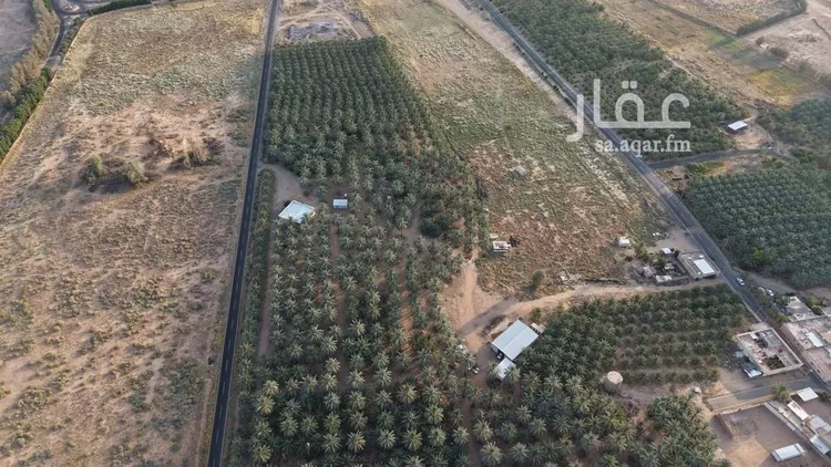 مزرعة للبيع في حي القصر, مدينة القصر, منطقة حائل 11