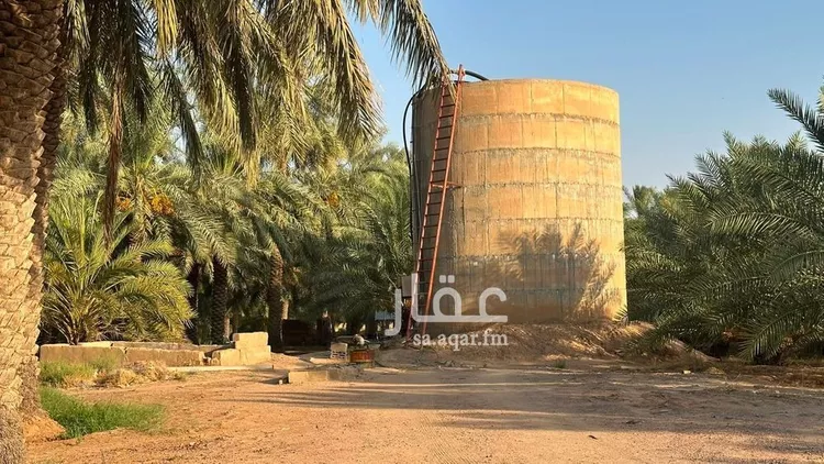 مزرعة للبيع في حي القصر, مدينة القصر, منطقة حائل 22