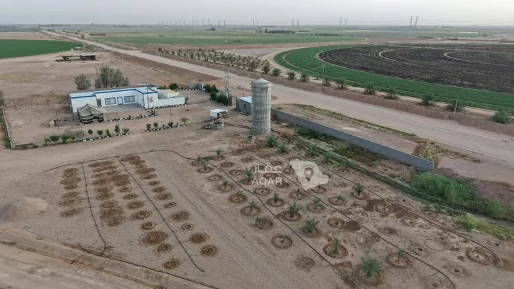Farm for Sale in AlShinana Al Aziziyah 12