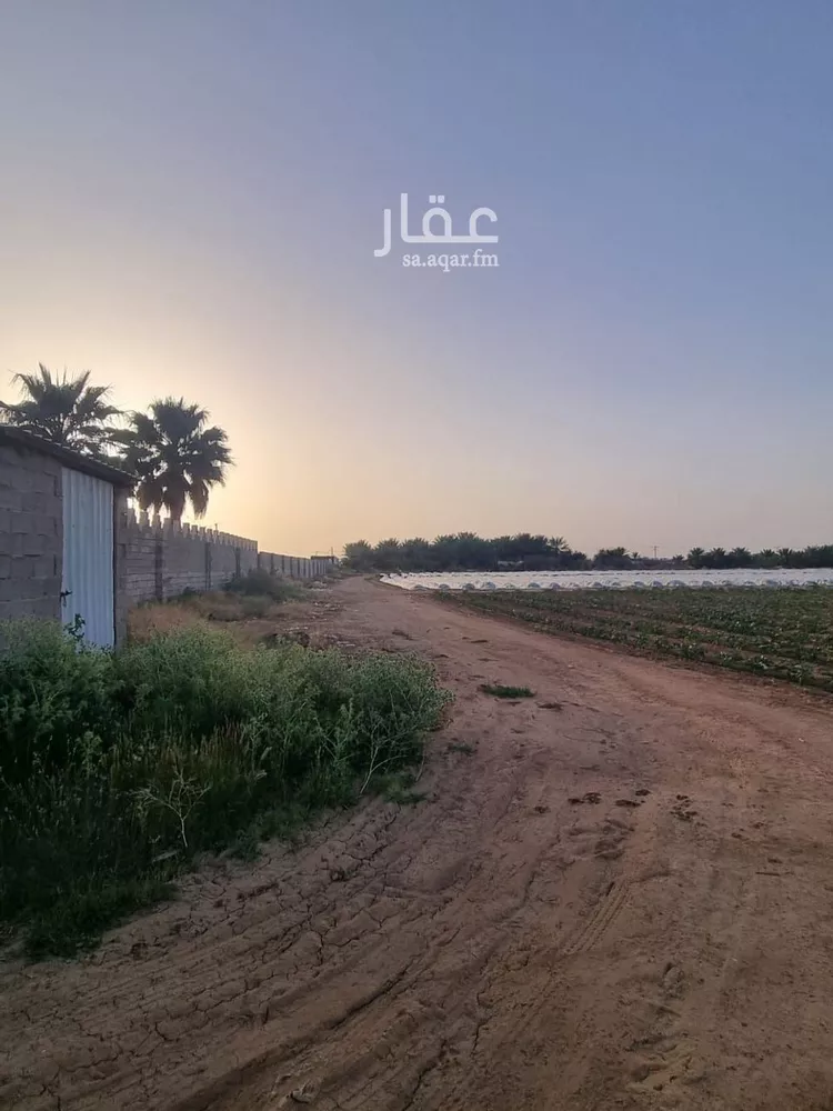 أرض للبيع في شارع شارع , مدينة عيون الجواء, منطقة القصيم صورة 2