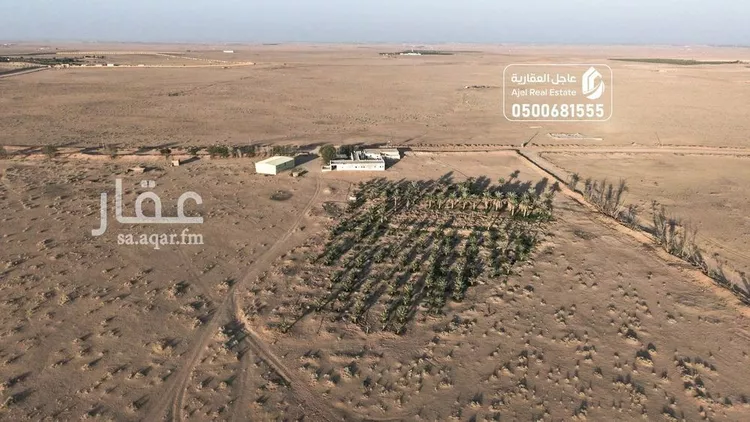 مزرعة للبيع في شارع ترابي, حي ساق, مدينة ساق, منطقة القصيم صورة 3