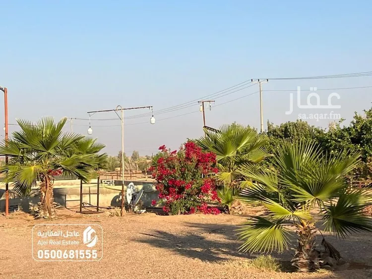 مزرعة للبيع في شارع شارع , حي مزارع الوبريات, مدينة مزارع الوبريات, منطقة حائل صورة 4