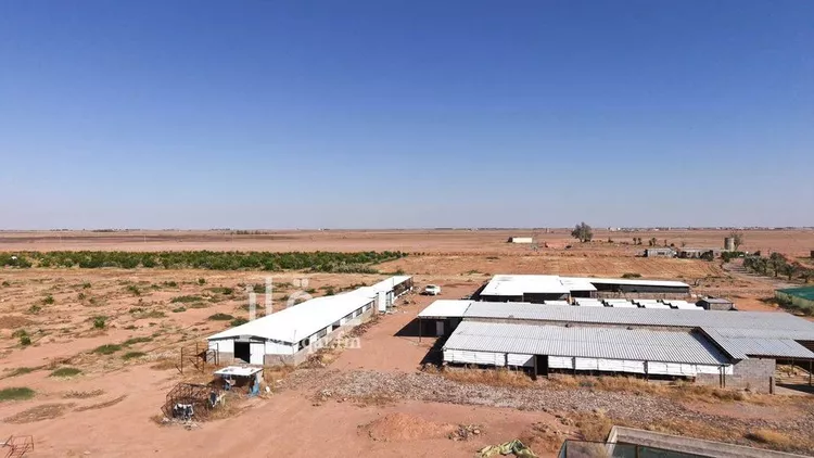 مزرعة للبيع في شارع شارع , حي المنصورية, مدينة المنصورية, منطقة حائل صورة 3