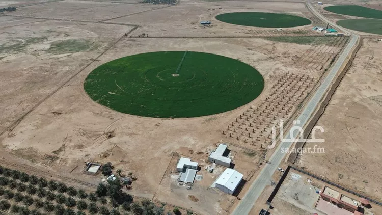 Farm for Sale in Al Ghat Ar Rabie 13
