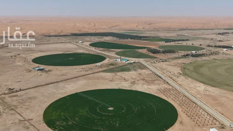 Farm for Sale in Al Ghat Ar Rabie 19