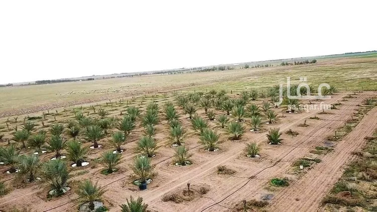 مزرعة للبيع في شارع شارع, حي الودى, مدينة ودي الحزم   الودي, منطقة حائل صورة 3