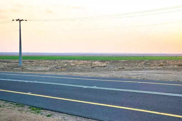 مزرعة للبيع في شارع شارع, حي الفويلق رقم(1), مدينة الفويلق رقم 1, منطقة حائل 6