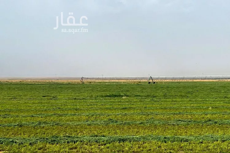 مزرعة للبيع في شارع شارع, حي الفويلق رقم(1), مدينة الفويلق رقم 1, منطقة حائل صورة 5