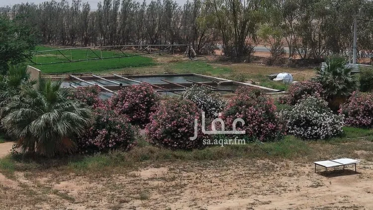 مزرعة للبيع في شارع غير مسمى, مدينة الضلفعه, منطقة القصيم صورة 5
