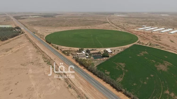 مزرعة للبيع في شارع غير مسمى, مدينة الضلفعه, منطقة القصيم 16