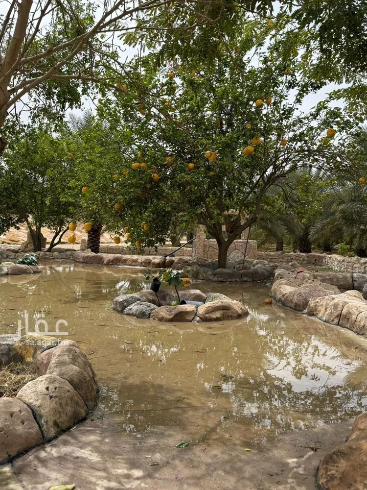 مزرعة للبيع في شارع, حي مزارع الخنقه, مدينة مزارع الخنقه, منطقة الرياض 18