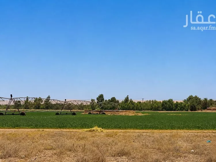 مزرعة للبيع في شارع, حي مزارع الحماده الجنوبيه, مدينة مزارع الحماده الجنوبيه, منطقة الرياض صورة 2