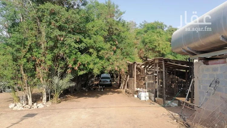 مزرعة للبيع في شارع بكر ابن عبدالله ابن الربيع الانصاري, حي مزارع واشله, مدينة الرياض, منطقة الرياض صورة 3