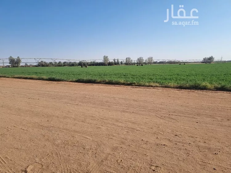 مزرعة للبيع في شارع, حي بقعاء الشرقية(سهلة الفزير), مدينة بقعاء, منطقة حائل 13