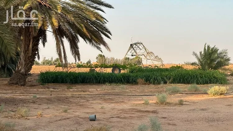 مزرعة للبيع في شارع, حي مزارع ابو غيل, مدينة مزارع ابو غيل, منطقة حائل صورة 2