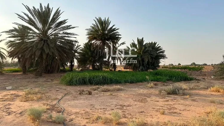 مزرعة للبيع في شارع, حي مزارع ابو غيل, مدينة مزارع ابو غيل, منطقة حائل 6