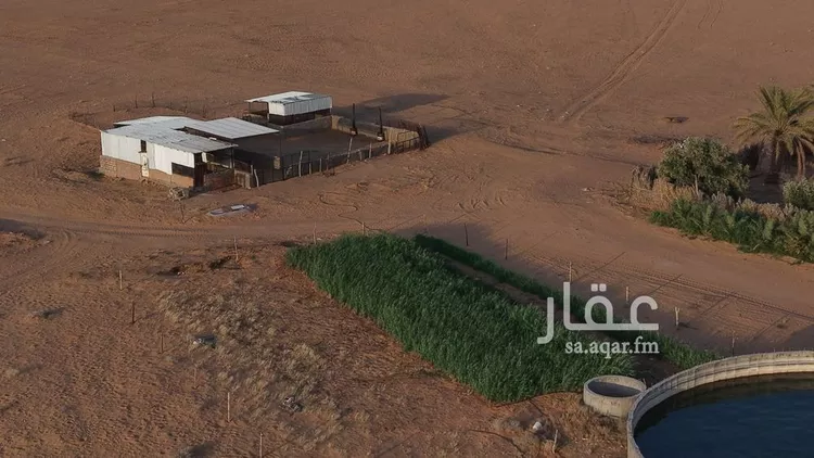 Farm for Sale in Baqaa Al Suhaibi صورة 3
