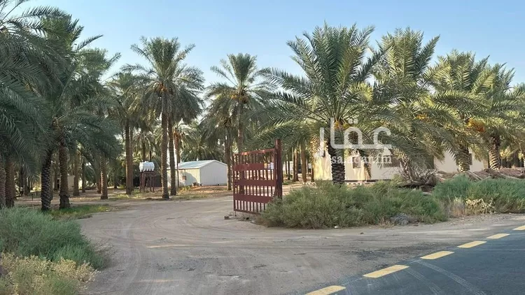 مزرعة للبيع في حي القصر, مدينة القصر, منطقة حائل 23