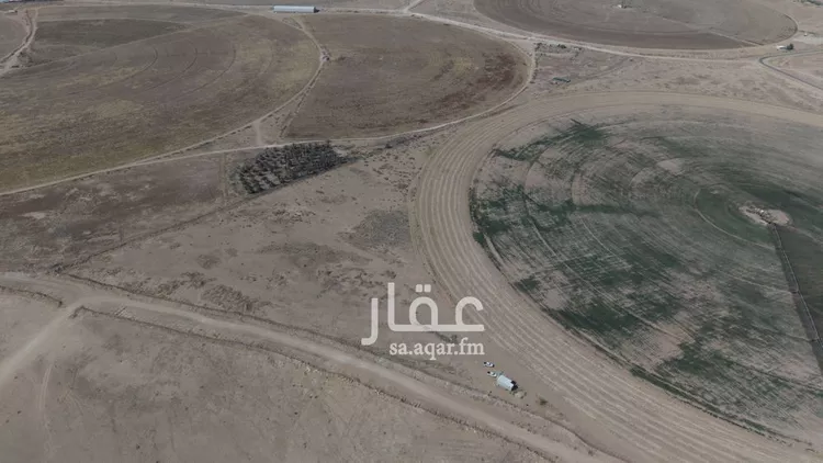 مزرعة للبيع في شارع, حي مزارع عنز, مدينة مزارع عنز, منطقة القصيم 9