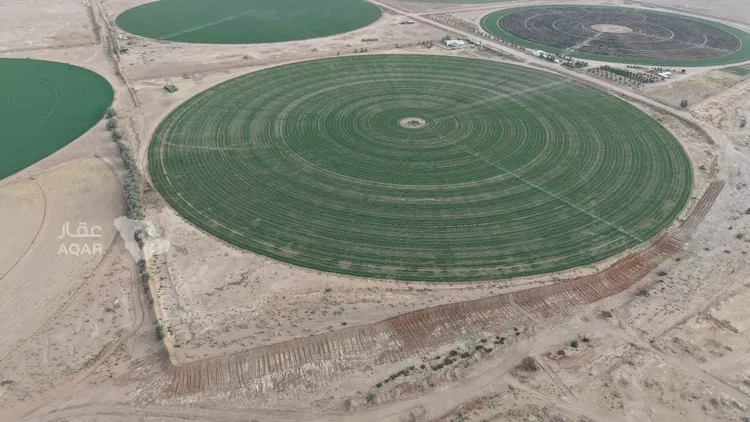 Farm for Sale in AlShinana Al Aziziyah