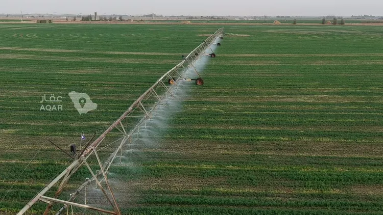 Farm for Sale in AlShinana Al Aziziyah 6