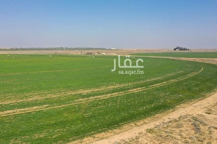 مزرعة للبيع في شارع طريق زراعي , حي مزارع عنز, مدينة مزارع عنز, منطقة القصيم صورة 5