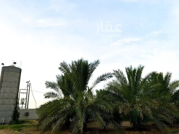 مزرعة للبيع في شارع شارع , مدينة عيون الجواء, منطقة القصيم صورة 5